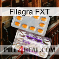 Filagra FXT new12